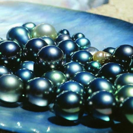 Perls 1