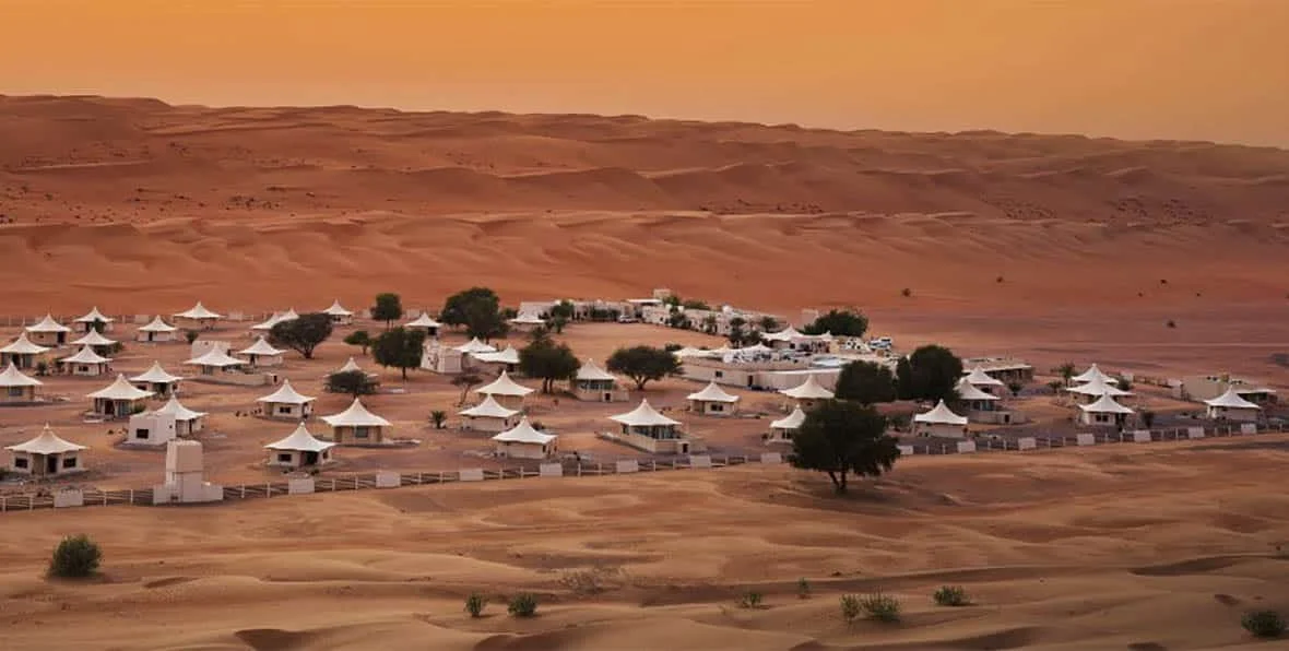 desert-nights
